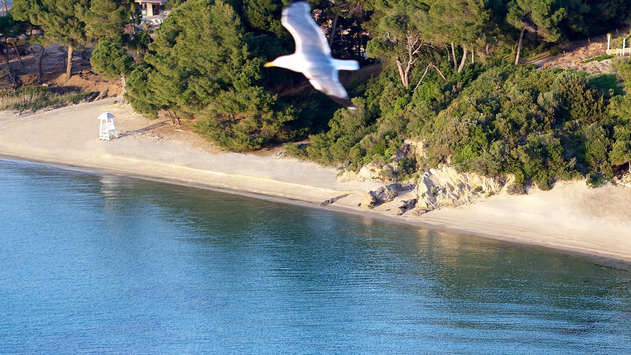 Elivi Skiathos Koukounaries Buitenkant foto